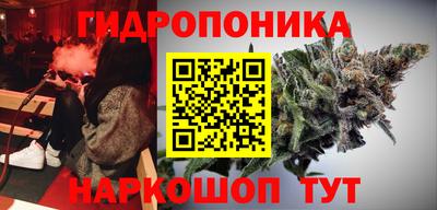 гашик Свободный