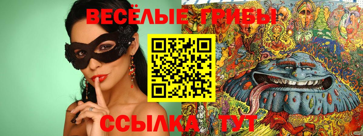 Галлюциногенные грибы прущие грибы  Галлюциногенные грибы MAGIC MUSHROOMS  Новосибирск  Вход с VPN 